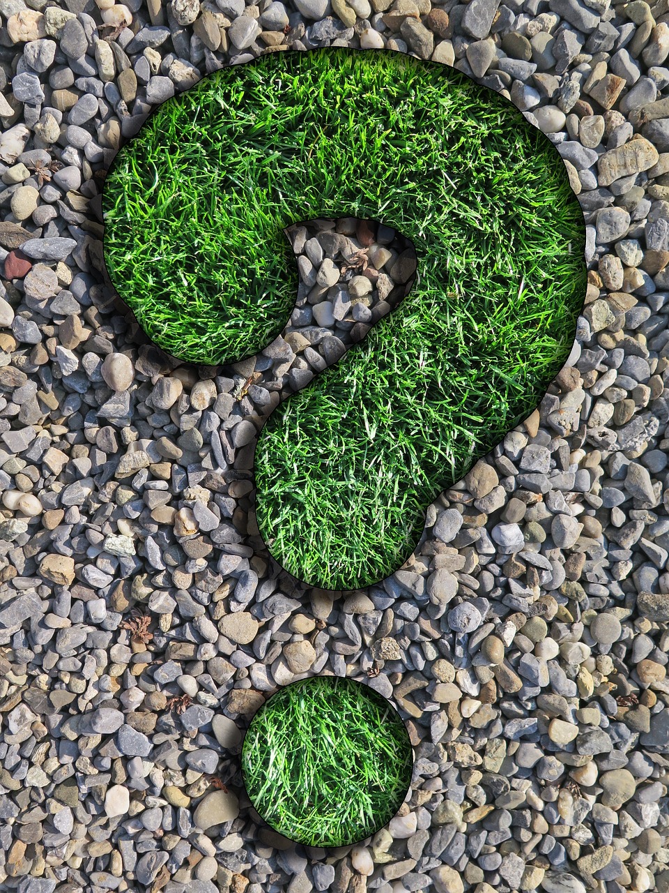 question, counselor, lawn, pebbles, question mark, beautiful wallpaper, nature, green, gray, round, background, weed, gravel, texture, iphone wallpaper, question, question mark, question mark, question mark, question mark, question mark